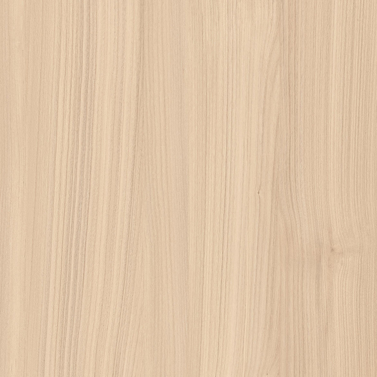 SIZE: 450mm x 450mm#