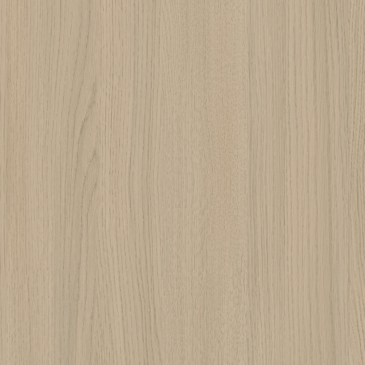 SIZE: 450mm x 450mm#