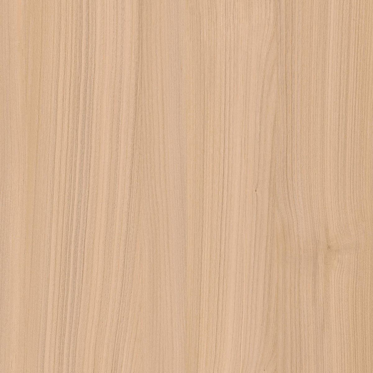 SIZE: 450mm x 450mm#