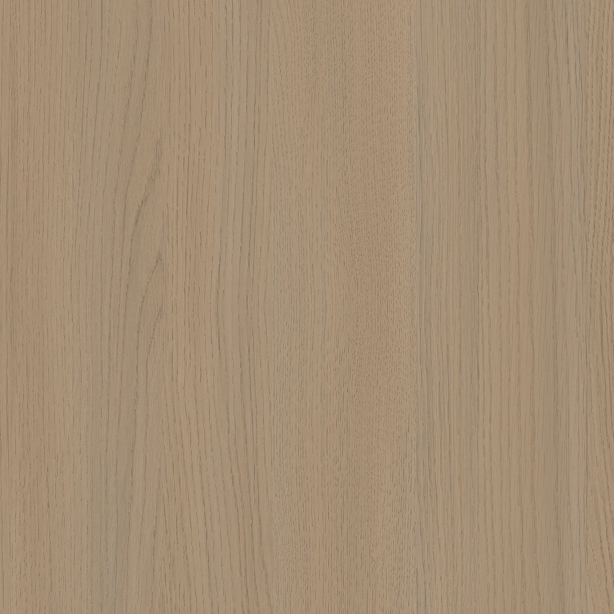 SIZE: 450mm x 450mm#
