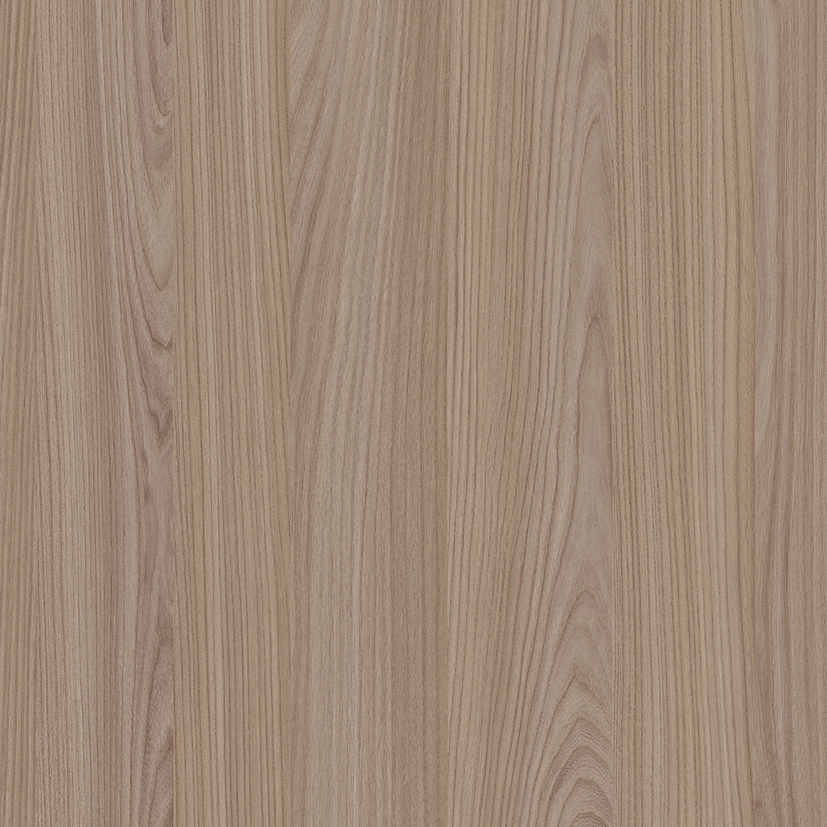 SIZE: 450mm x 450mm#