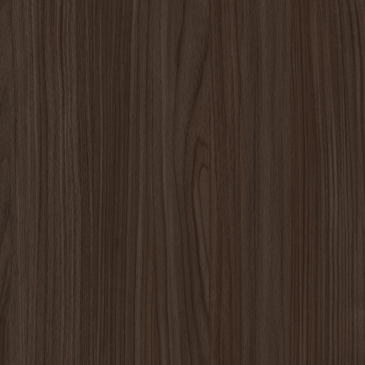 SIZE: 450mm x 450mm#