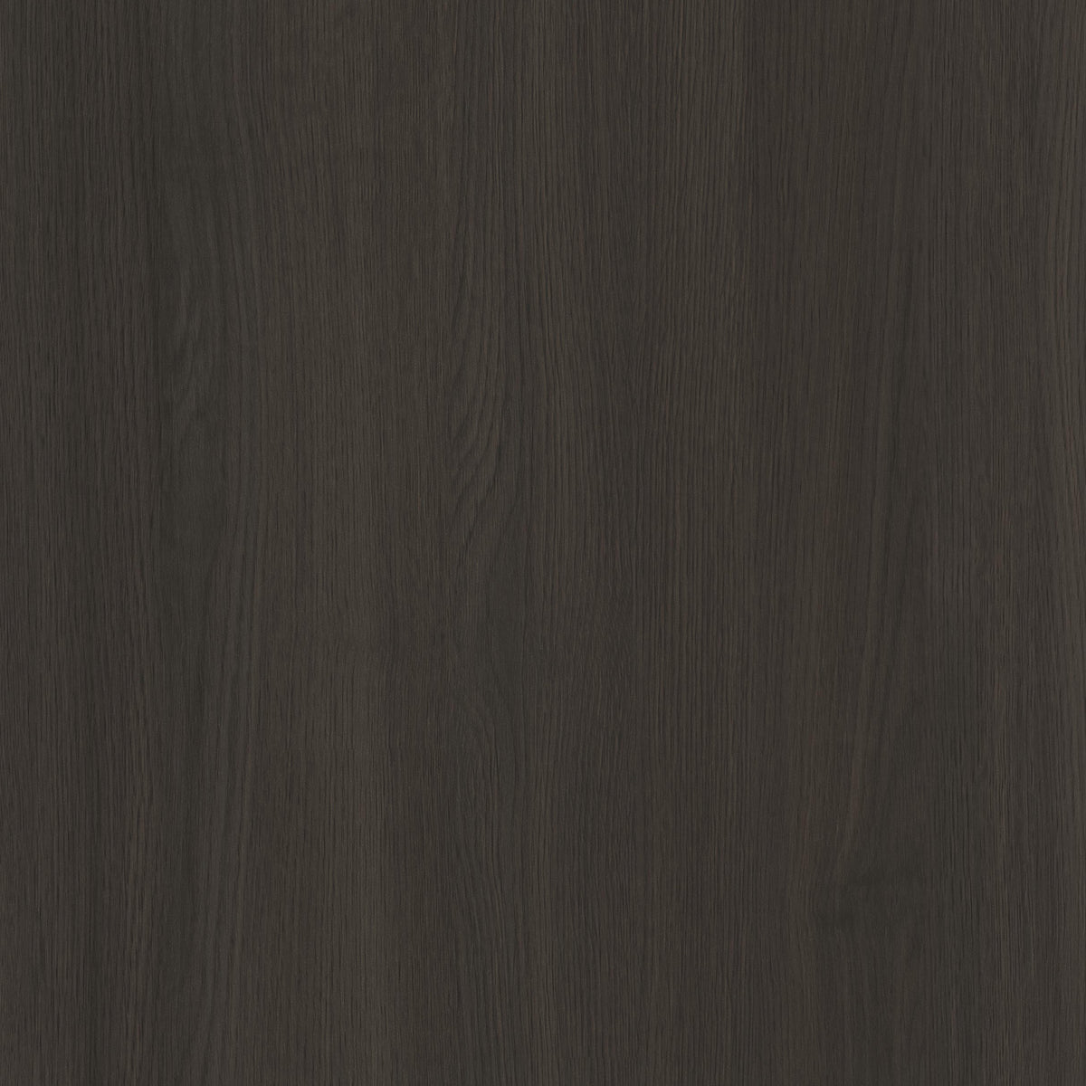 SIZE: 450mm x 450mm#