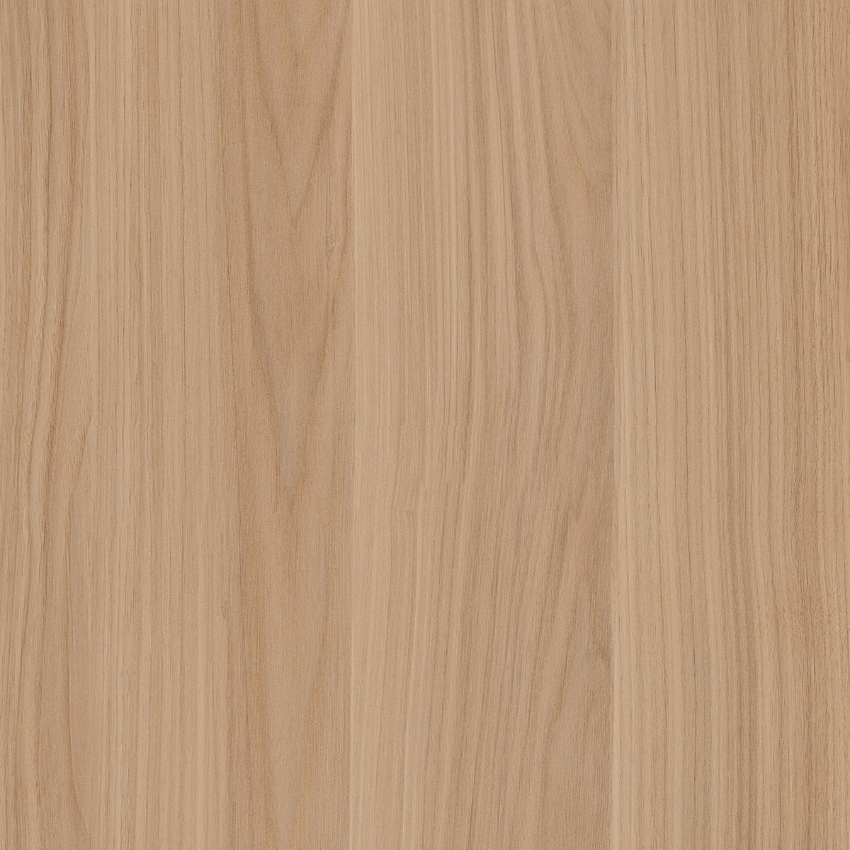 SIZE: 450mm x 450mm#