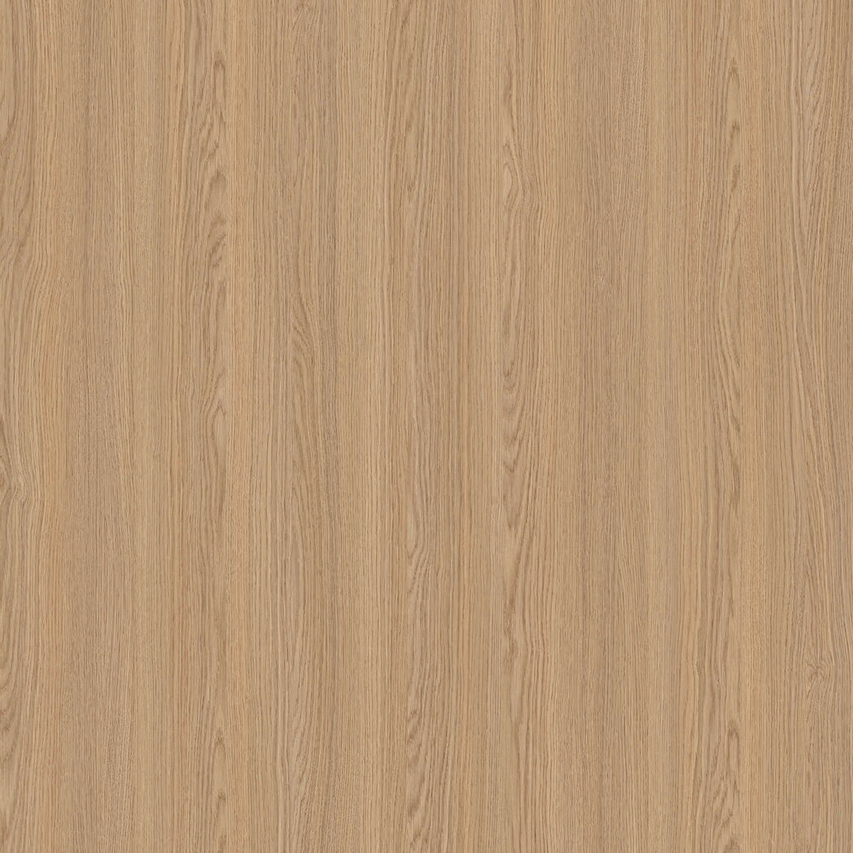 SIZE: 450mm x 450mm#