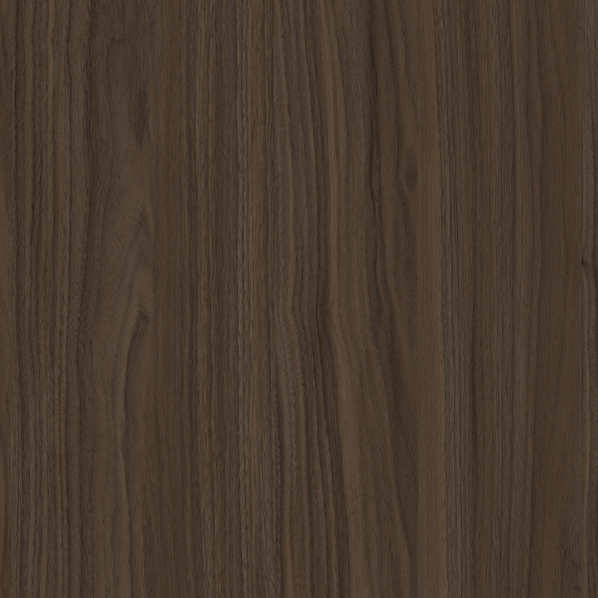 SIZE: 450mm x 450mm#