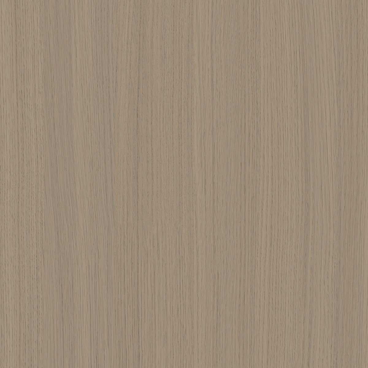 SIZE: 450mm x 450mm#