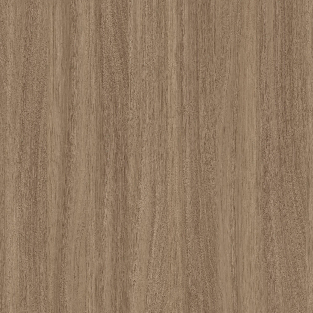 SIZE: 450mm x 450mm#