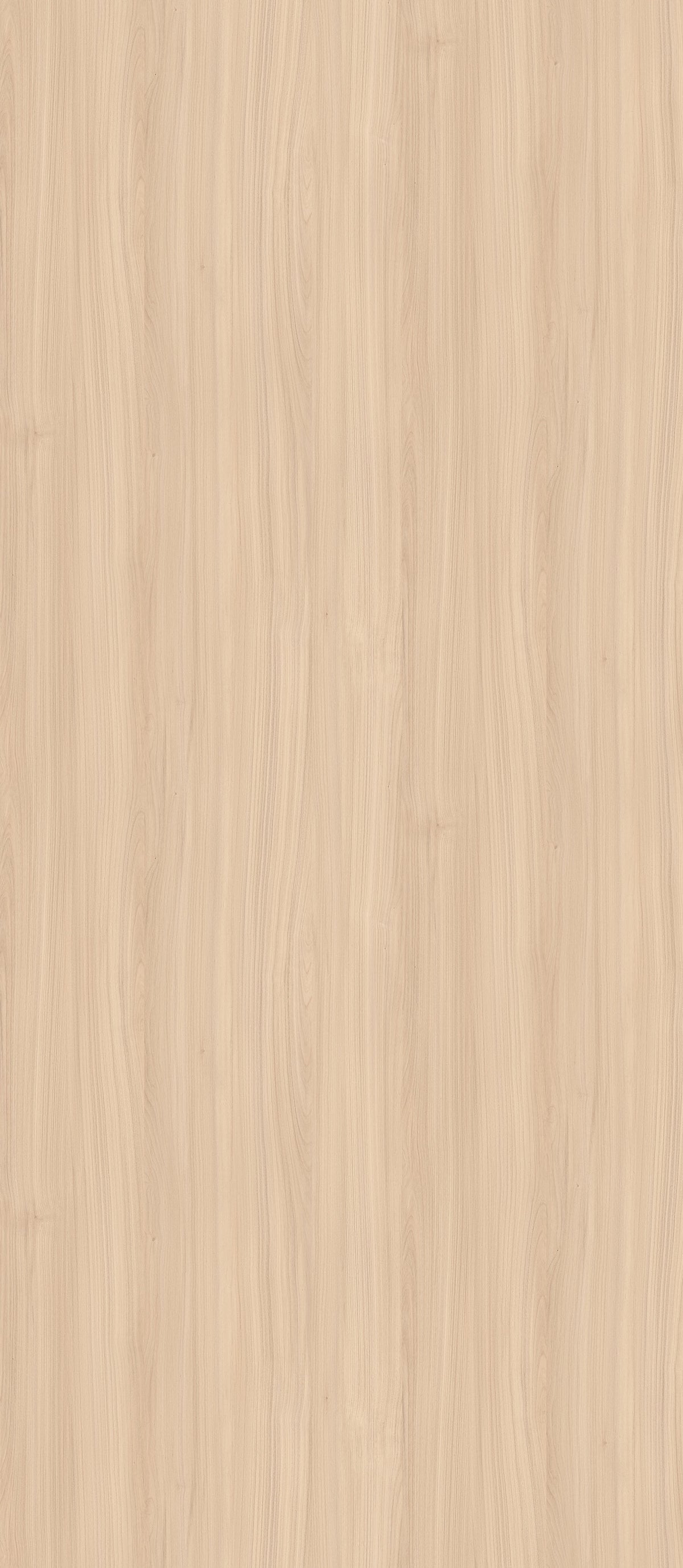 SIZE: 2800mm x 1220mm