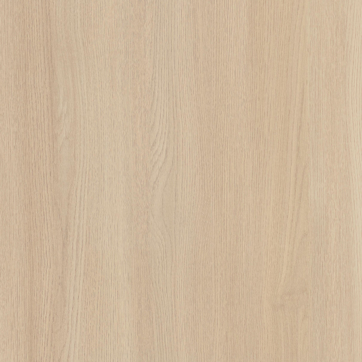 SIZE: 450mm x 450mm#