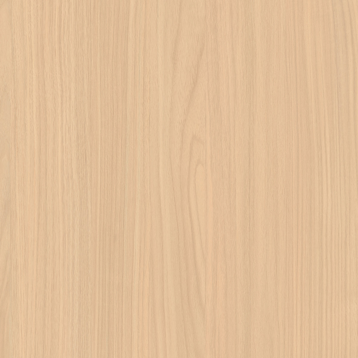 SIZE: 450mm x 450mm#