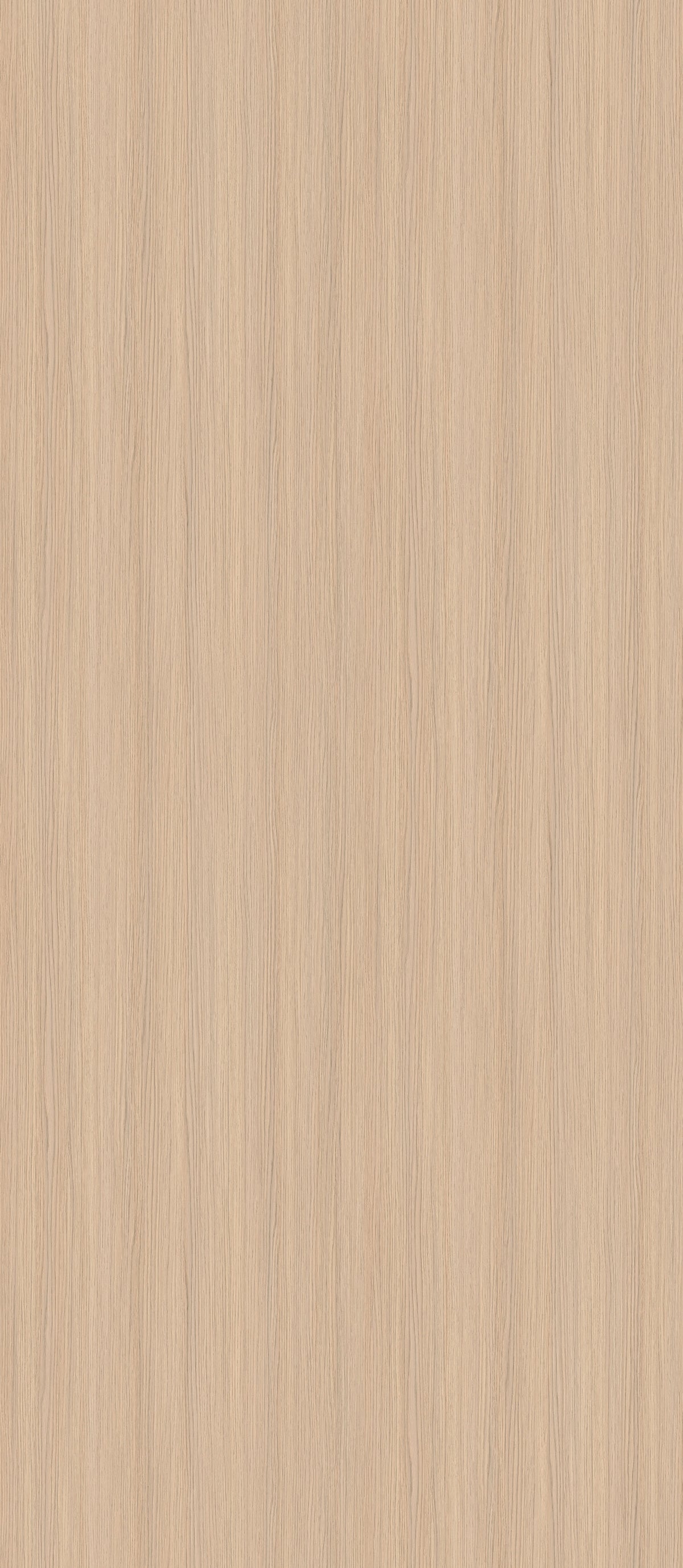 SIZE: 2800mm x 1220mm