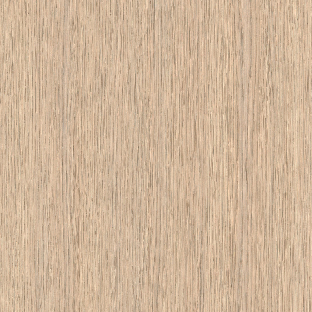 SIZE: 450mm x 450mm#