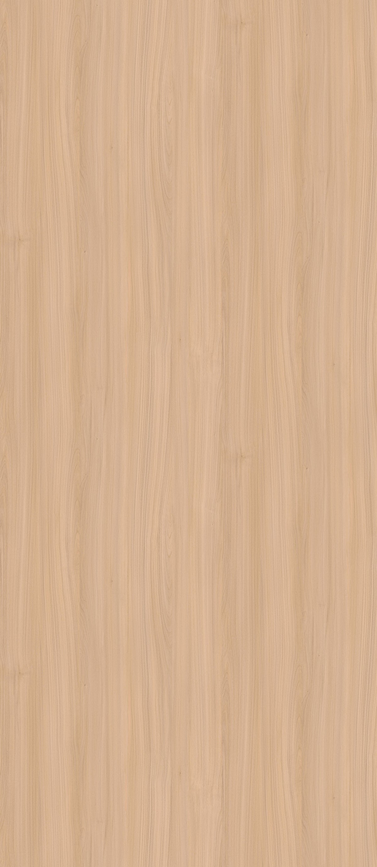 SIZE: 2800mm x 1220mm#