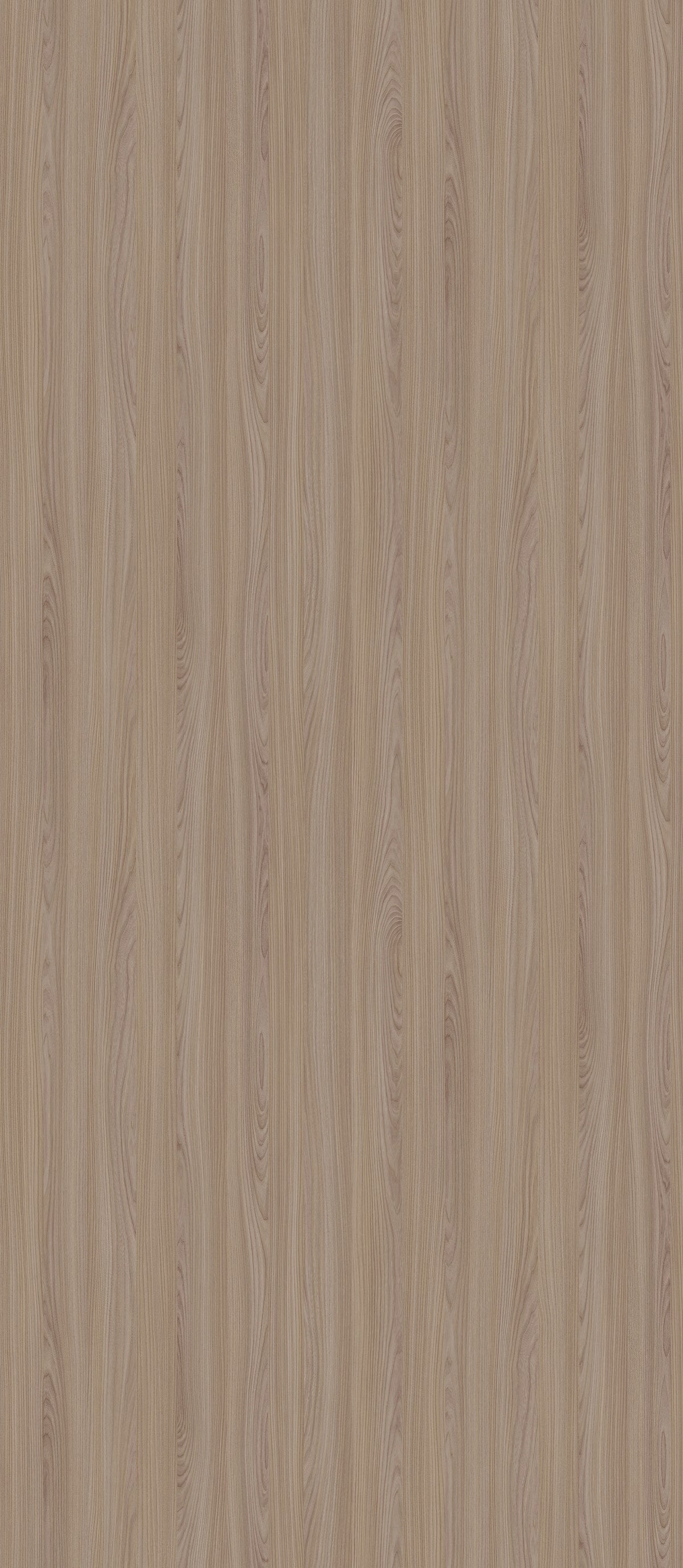 SIZE: 2800mm x 1220mm#