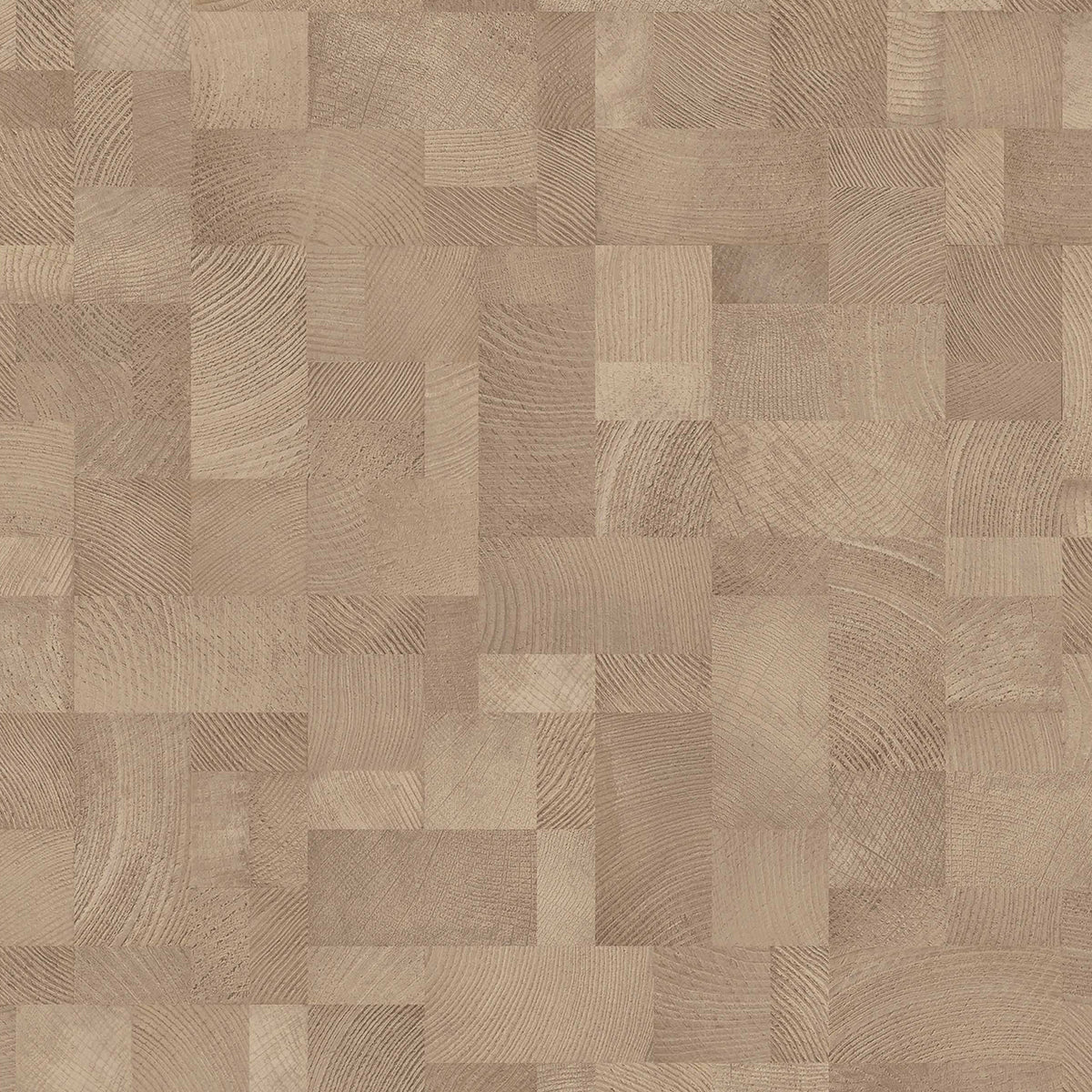 SIZE: 450mm x 450mm#