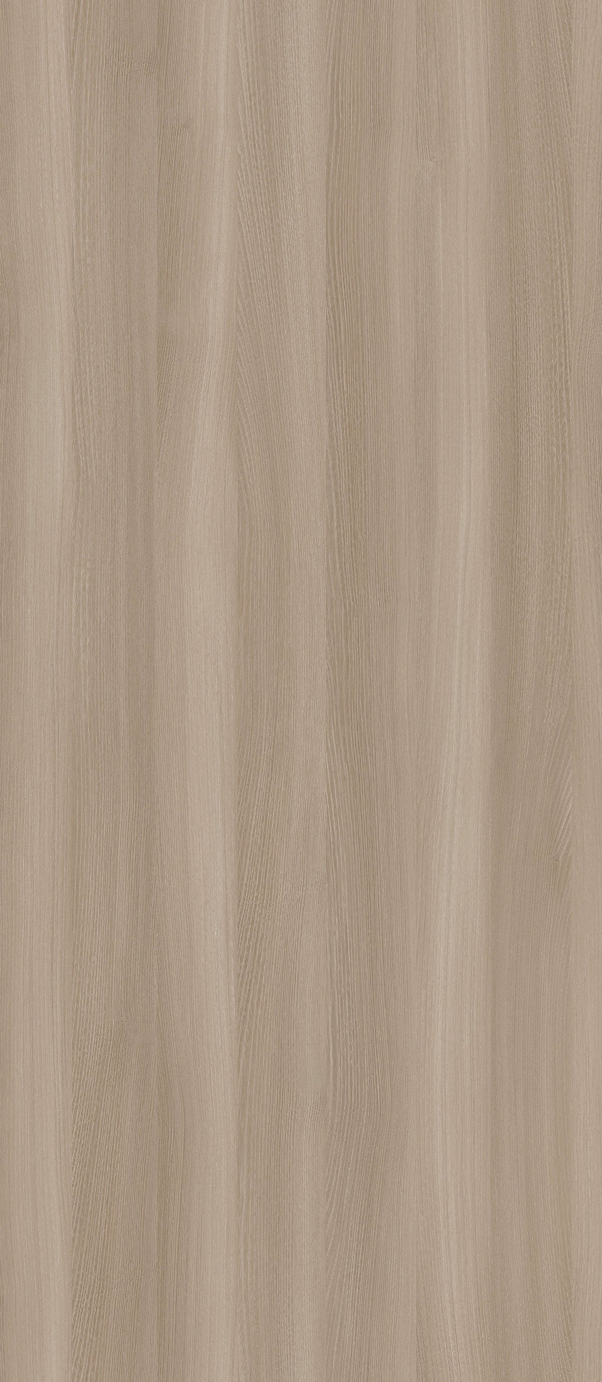 SIZE: 2800mm x 1220mm#