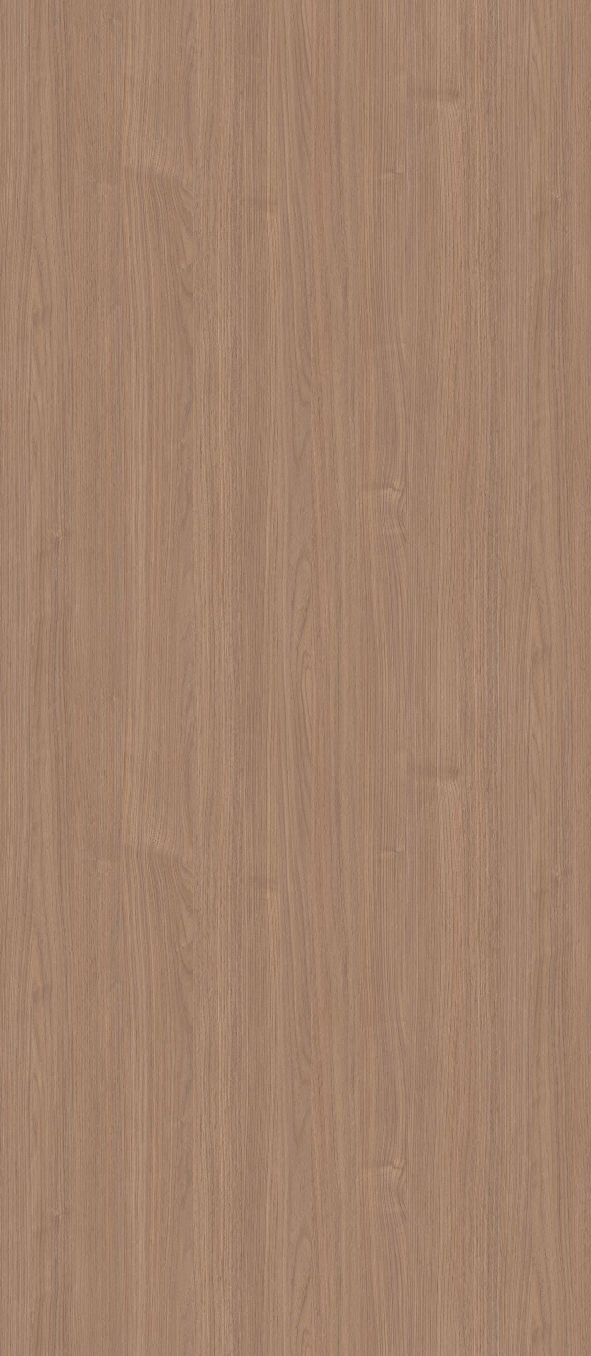 SIZE: 2800mm x 1220mm