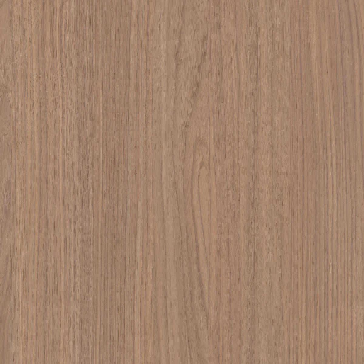 SIZE: 450mm x 450mm#