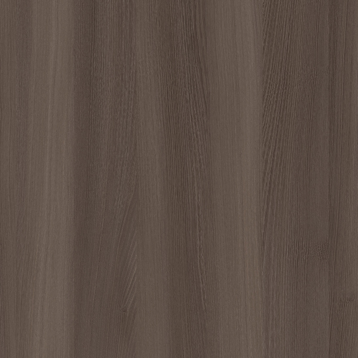 SIZE: 450mm x 450mm#
