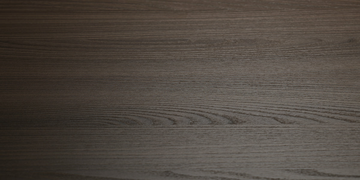 Canyon Elm