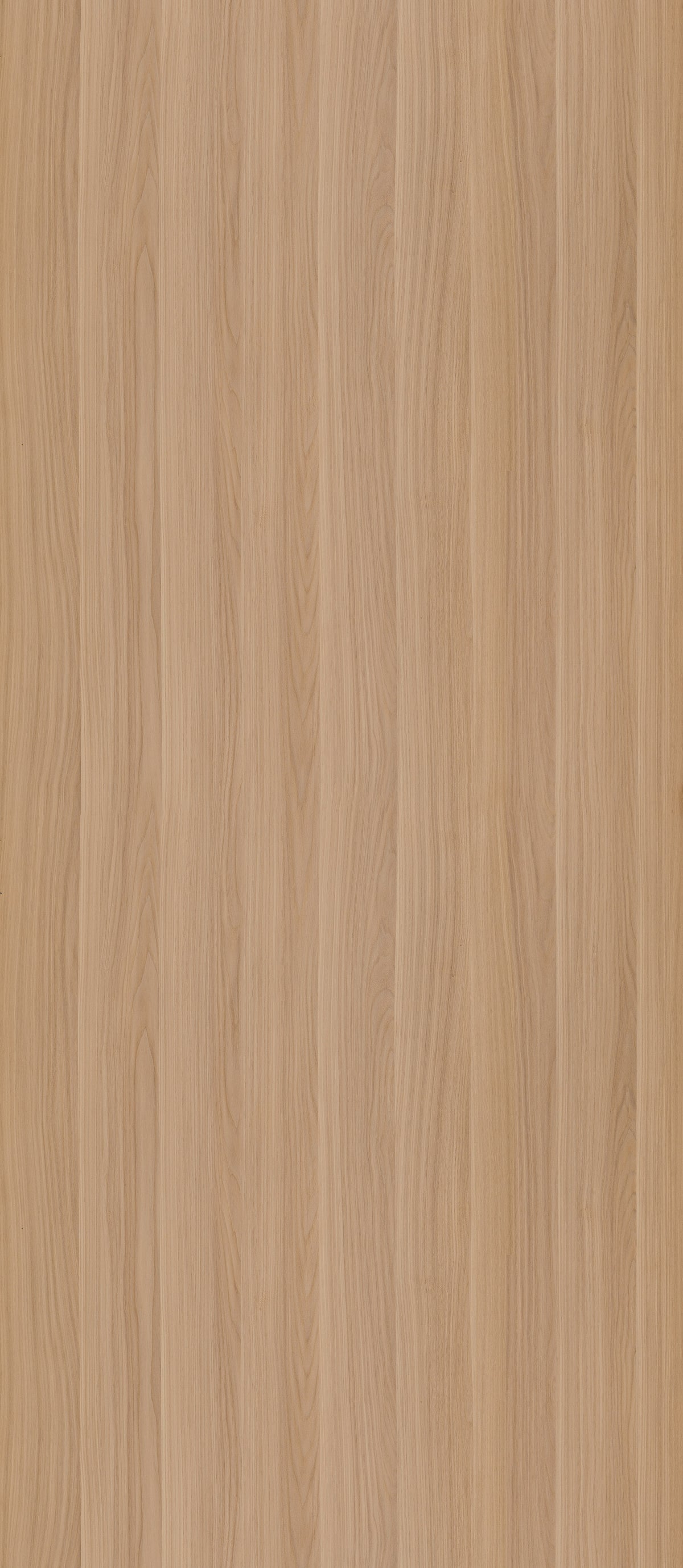 SIZE: 2800mm x 1220mm#