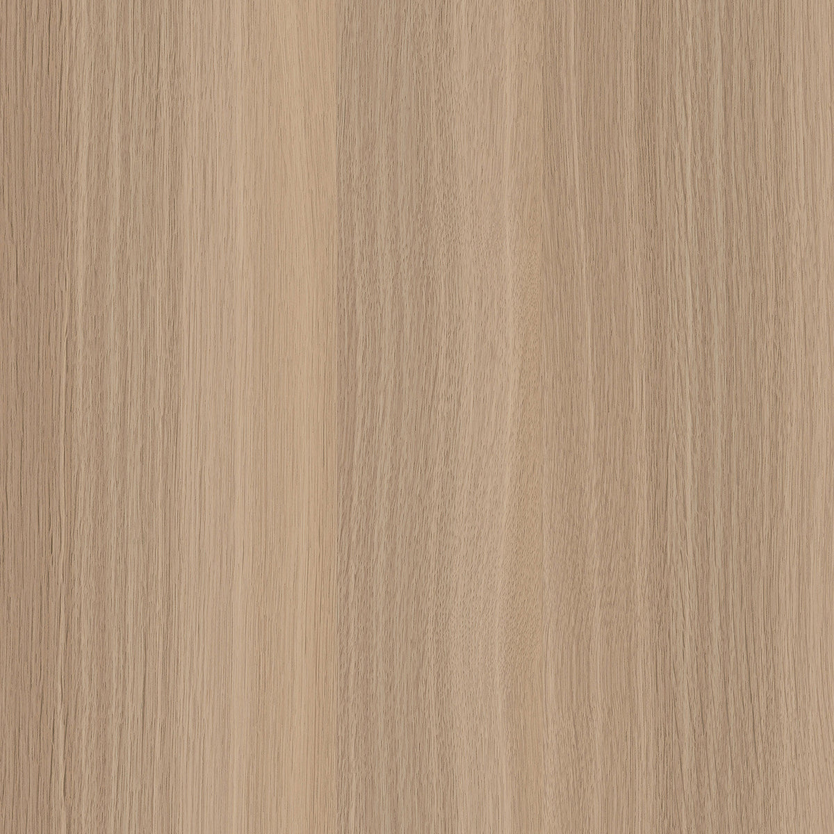 SIZE: 450mm x 450mm#