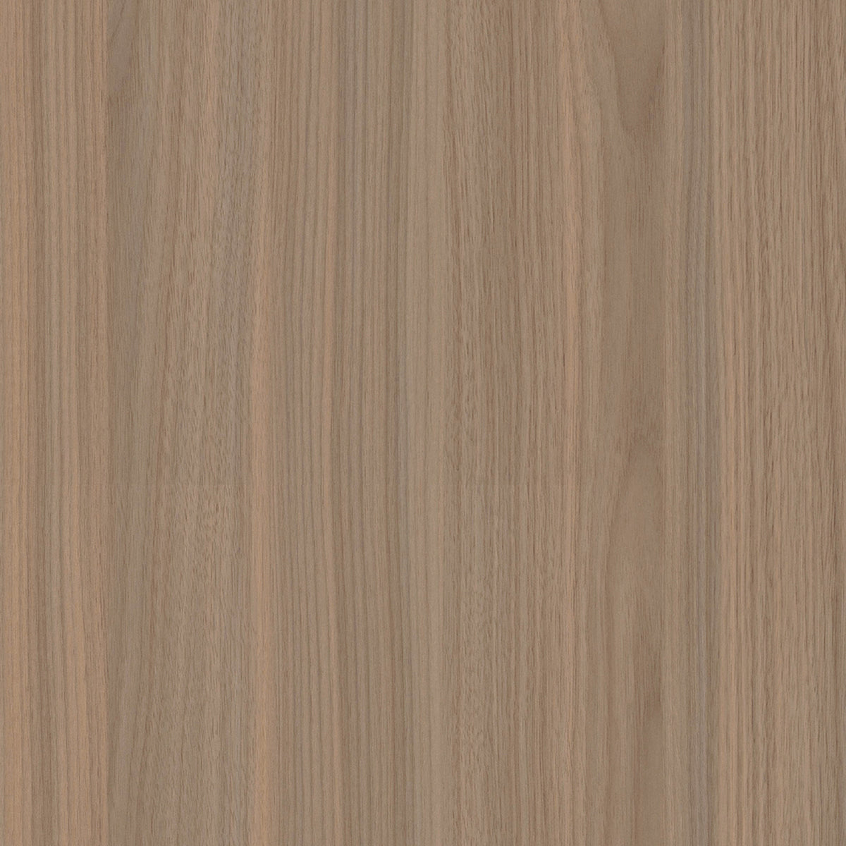 SIZE: 450mm x 450mm#