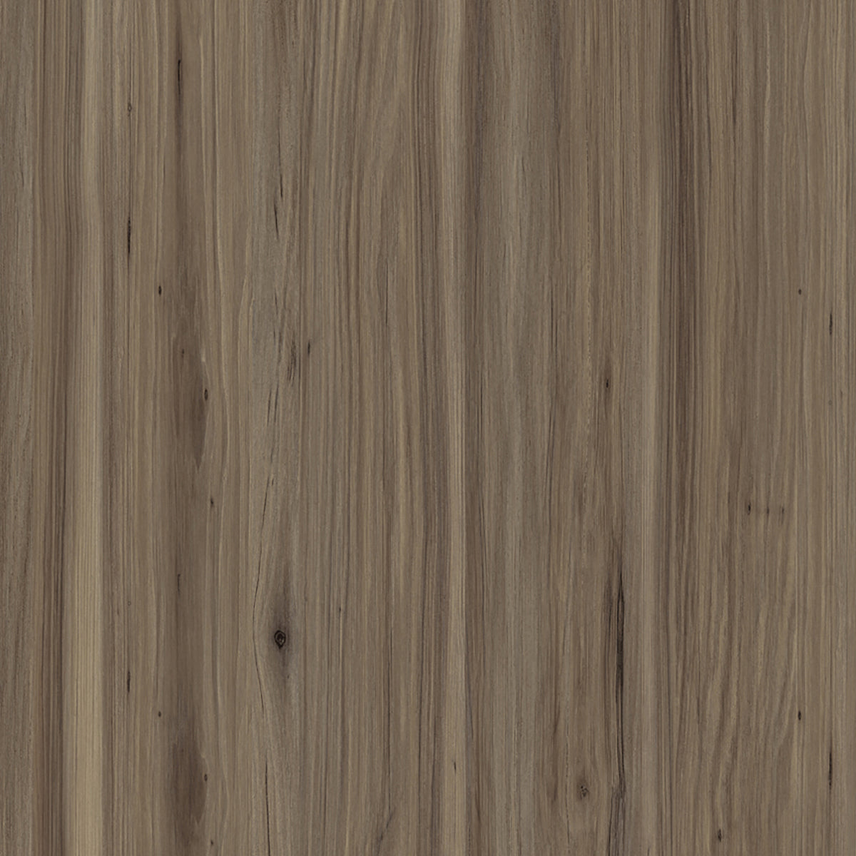 SIZE: 450mm x 450mm#