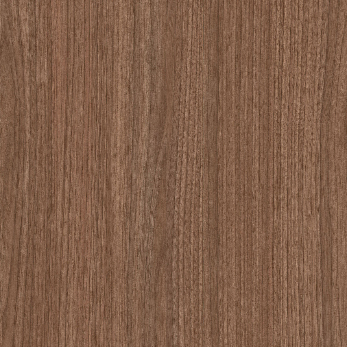 SIZE: 450mm x 450mm#