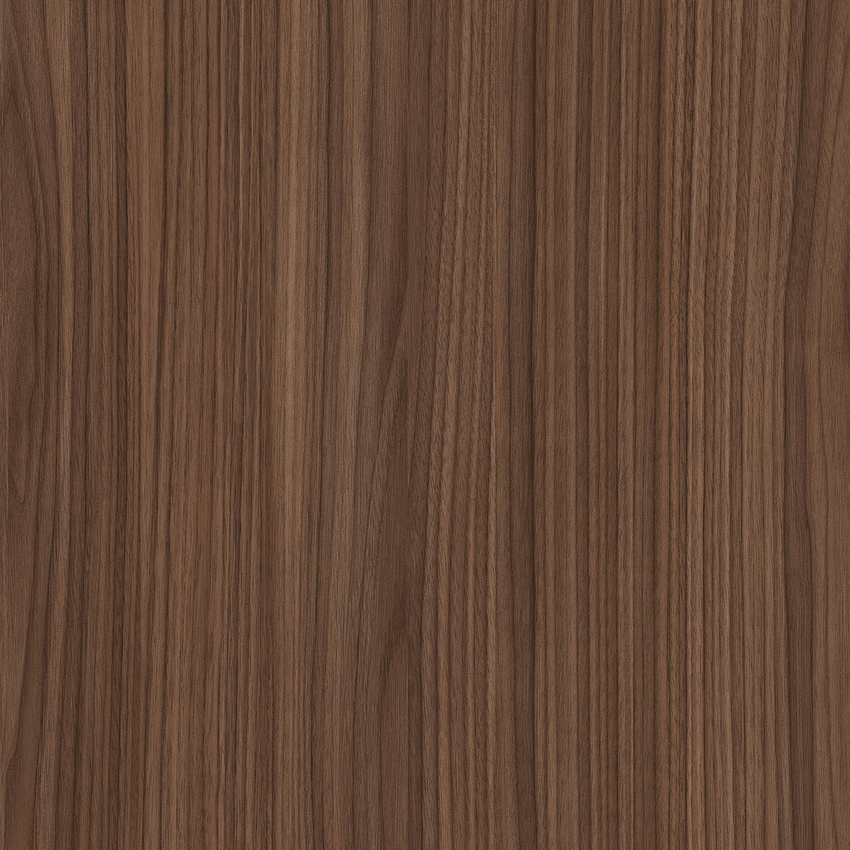SIZE: 450mm x 450mm#