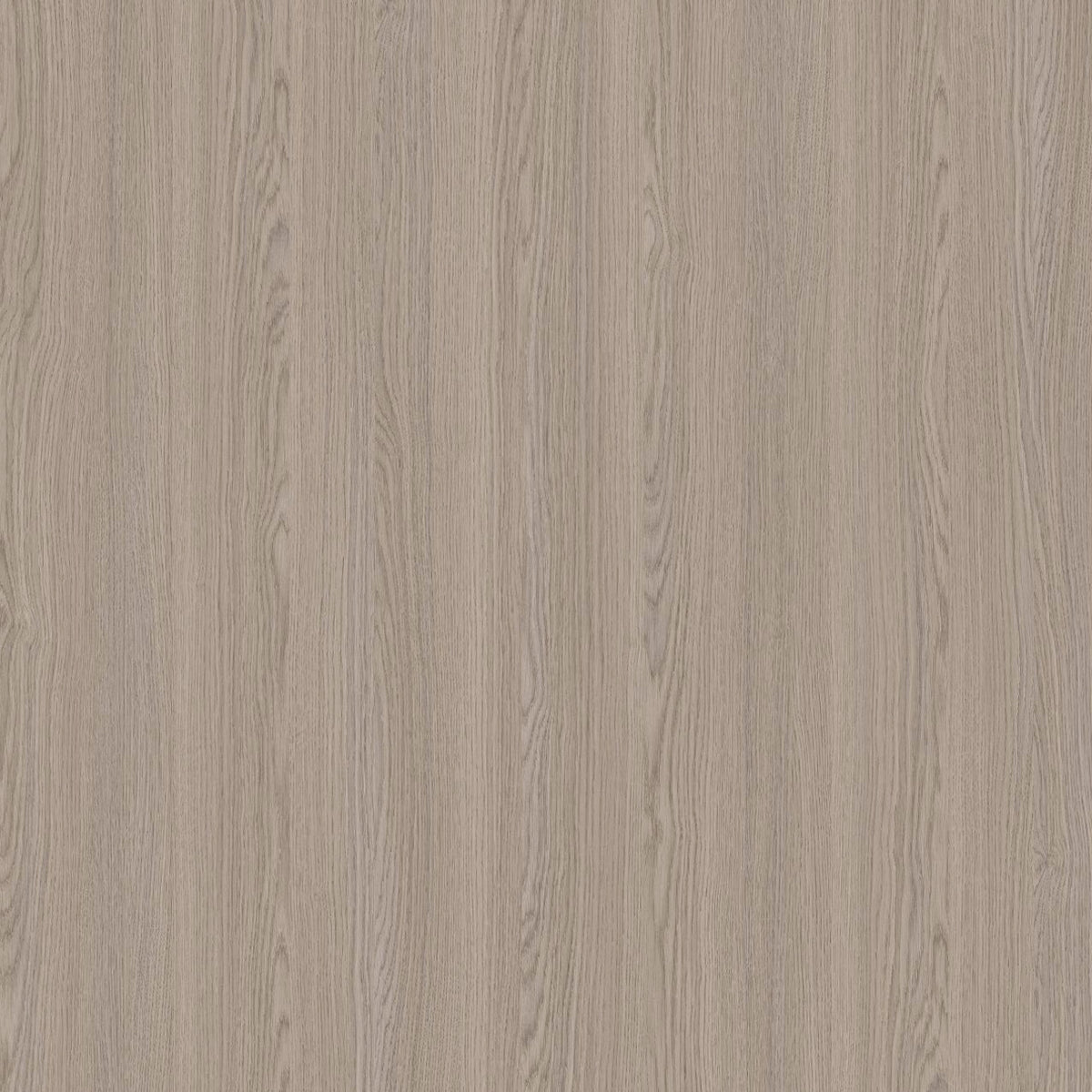 SIZE: 450mm x 450mm#