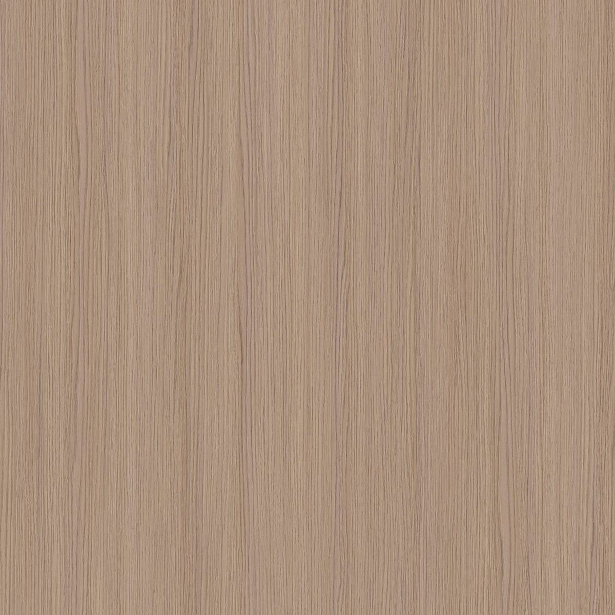 SIZE: 450mm x 450mm#