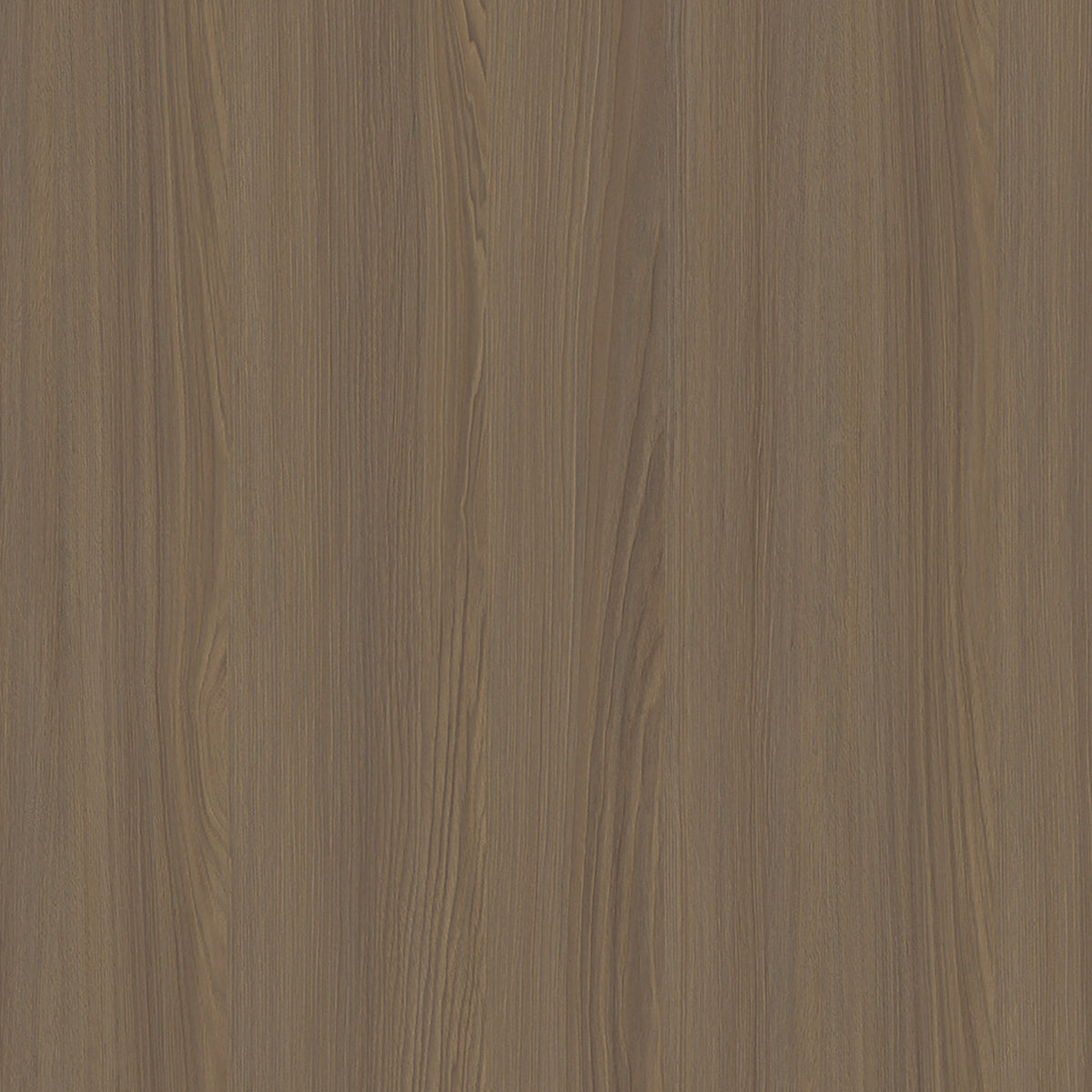 SIZE: 450mm x 450mm#