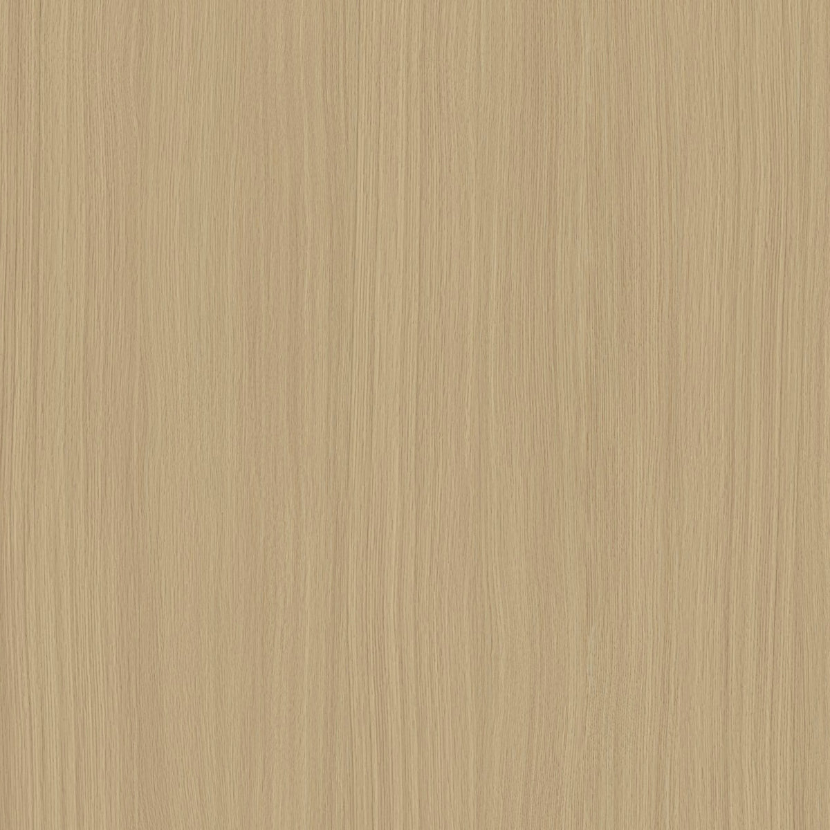 SIZE: 450mm x 450mm#