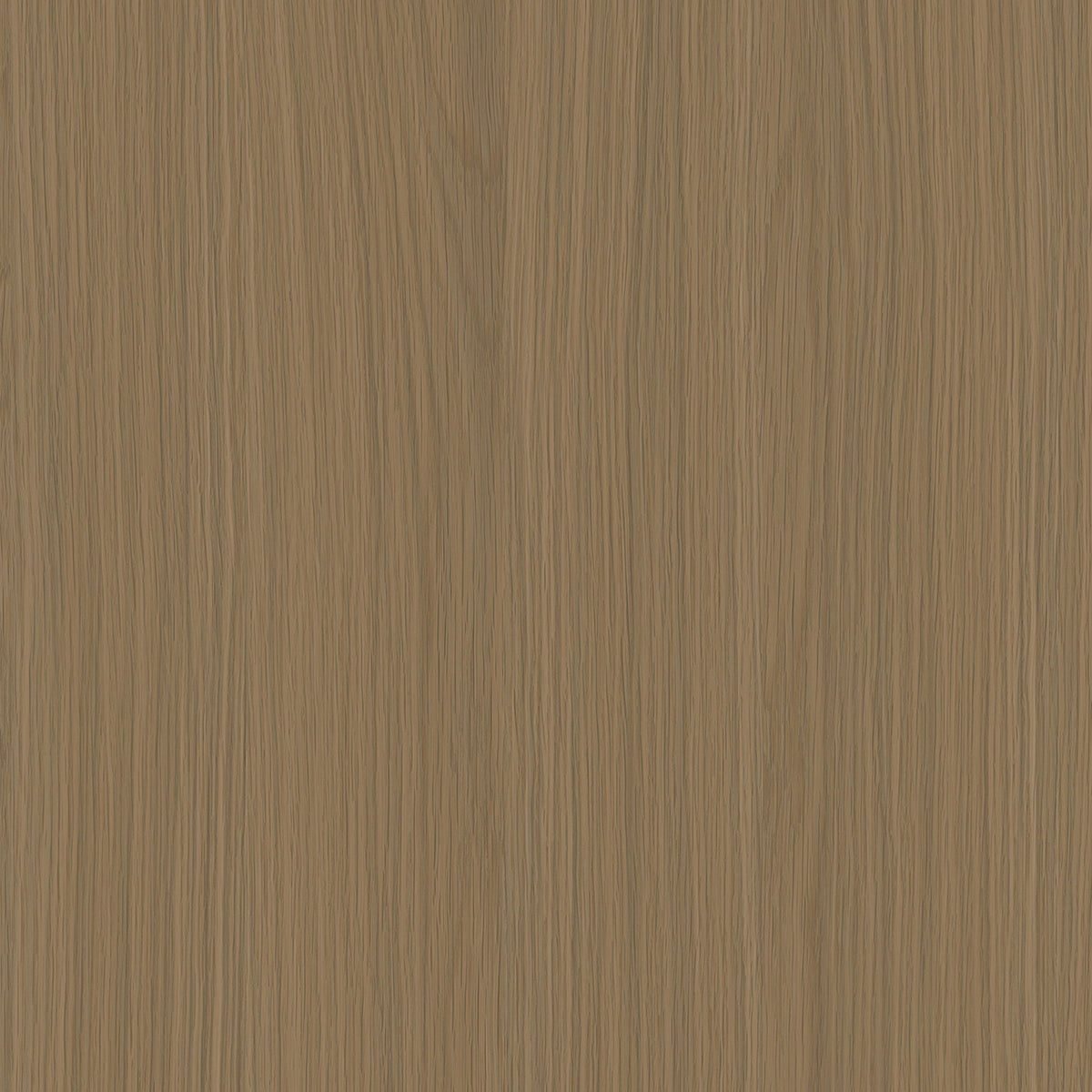 SIZE: 450mm x 450mm#